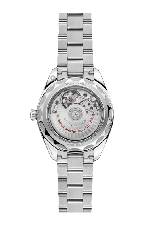 SEAMASTER AQUA TERRA 150M 30 MM, ACCIAIO SU ACCIAIO - 220.10.30.20.55.001