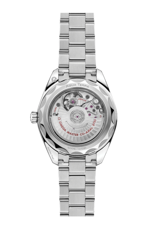 SEAMASTER AQUA TERRA 150M30 MM, ACCIAIO SU ACCIAIO - 220.10.30.20.60.001