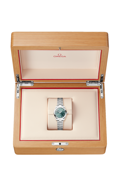 SEAMASTER AQUA TERRA 150M30 MM, ACCIAIO SU ACCIAIO - 220.10.30.20.60.001