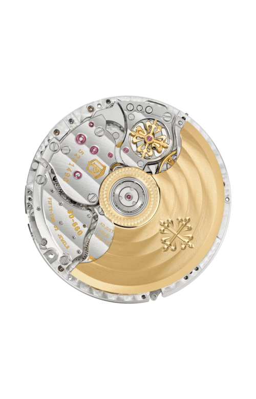 Accedi alla scheda di Patek Philippe GRANDI COMPLICAZIONI ALLARME SU 24 ORE, CARICA AUTOMATICA - 5322G-010