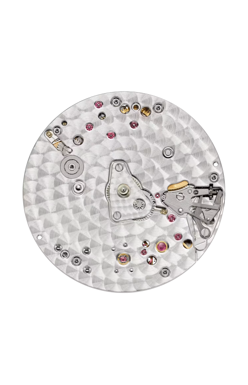 Accedi alla scheda di Patek Philippe GOLDEN ELLIPSE, CARICA AUTOMATICA - 5738G-001