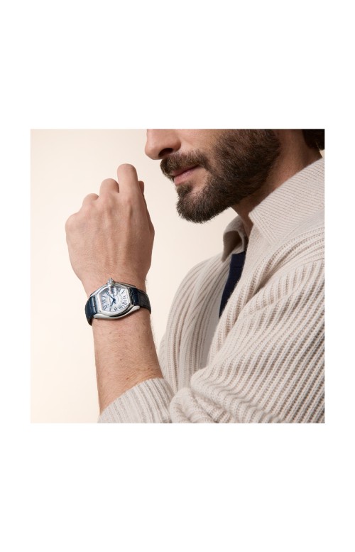 Accedi alla scheda di Cartier ROADSTER MODELLO GRANDE, ACCIAIO, AUTOMATICO - WSRD0020