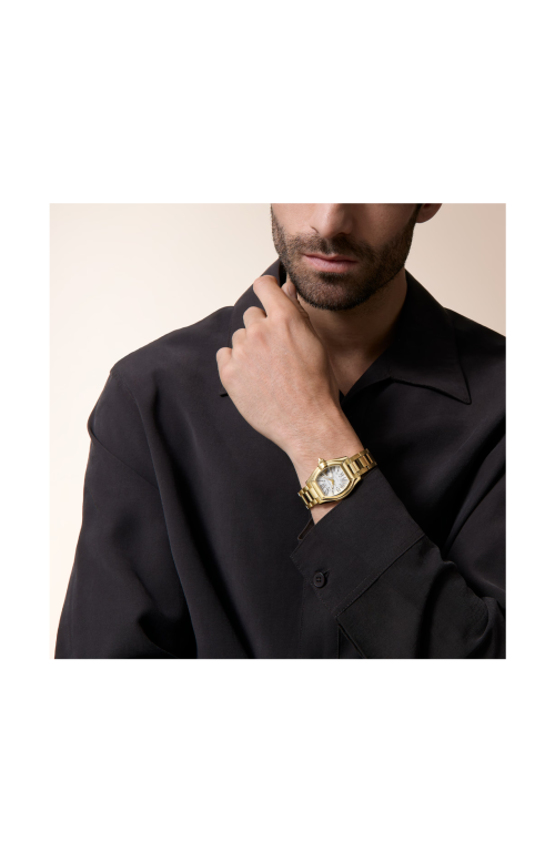 Accedi alla scheda di Cartier ROADSTER MODELLO MEDIO, ORO GIALLO, AUTOMATICO - WGRD0011