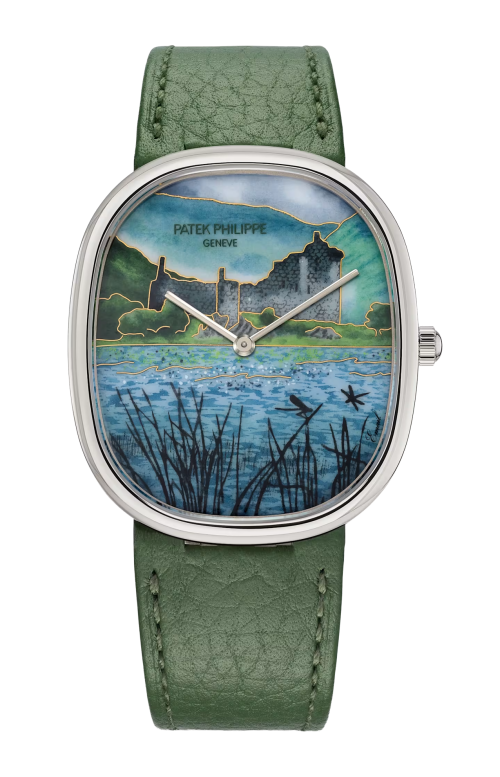 Accedi alla scheda di Patek Philippe RARE HANDCRAFTS CITTADELLA DELLE HIGHLAND, AUTOMATICO - LIMITED EDITION - 5738/50G-043