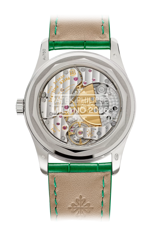 Accedi alla scheda di Patek Philippe GRANDI COMPLICAZIONI, PERPETUAL CALENDAR - LIMITED EDITION - 7147G-010