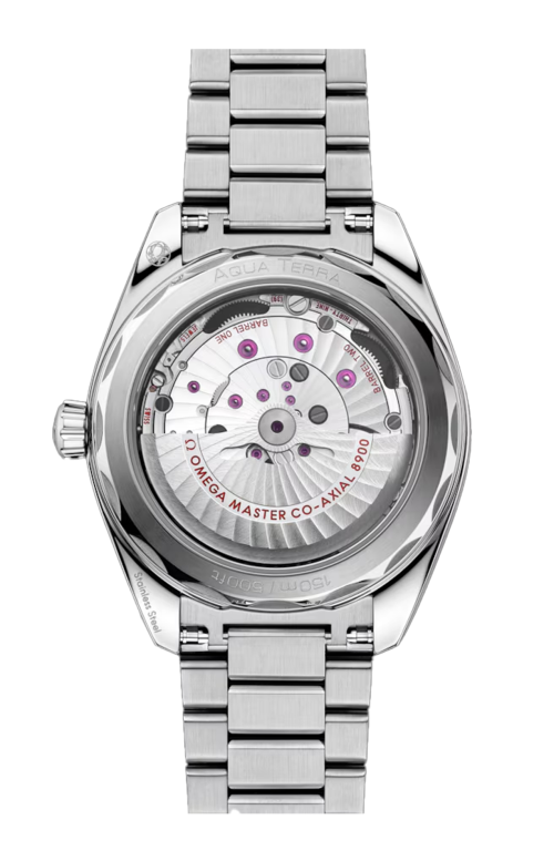 SEAMASTER ACQUA TERRA 150M 41 MM, ACCIAIO SU ACCIAIO - 220.10.41.21.03.006