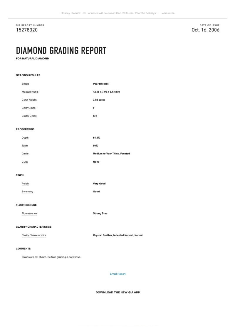 Bartorelli Italian Jewels ORECCHINI CASCATA DI DIAMANTI IN ORO BIANCO - F.239D (3)