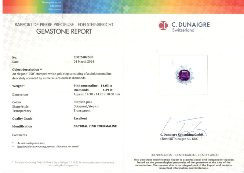 Bartorelli Italian Jewels | ANELLO FIORE GRANDE IN ORO BIANCO CON TORMALINA ROSA E DIAMANTI - 159-C678 (4)