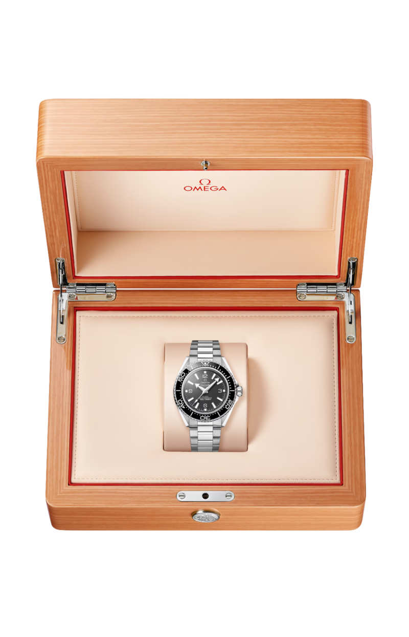 Omega SEAMASTER PLANET OCEAN 600M 42 MM, ACCIAIO SU ACCIAIO - 217.30.42.21.01.001 (3)
