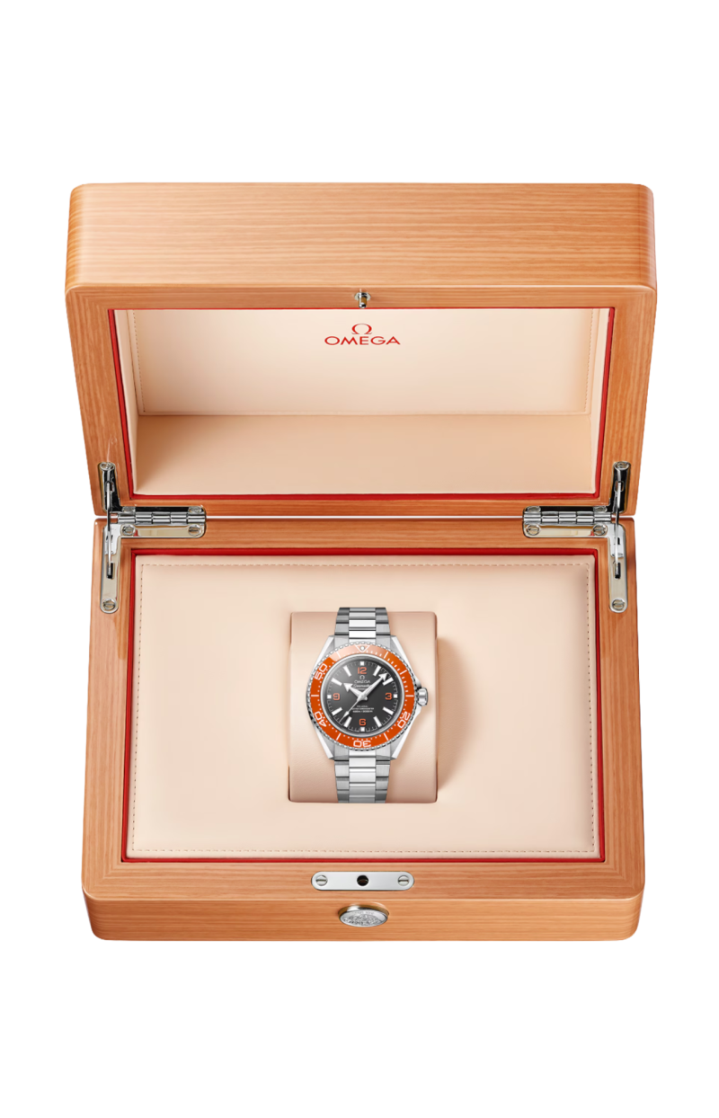Omega SEAMASTER PLANET OCEAN 600M 42 MM, ACCIAIO SU ACCIAIO - 217.30.42.21.01.003 (3)