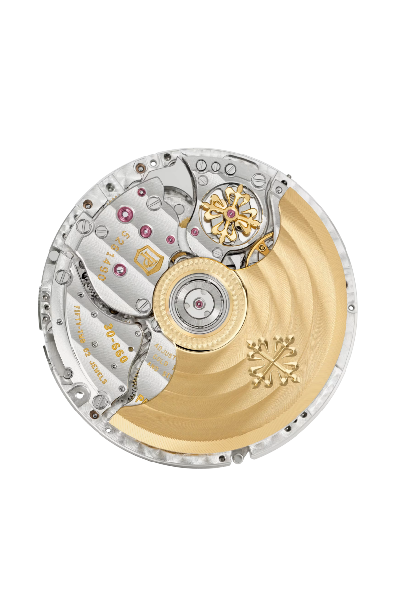 Patek Philippe | GRANDI COMPLICAZIONI ALLARME SU 24 ORE, CARICA AUTOMATICA - 5322G-010 (6)