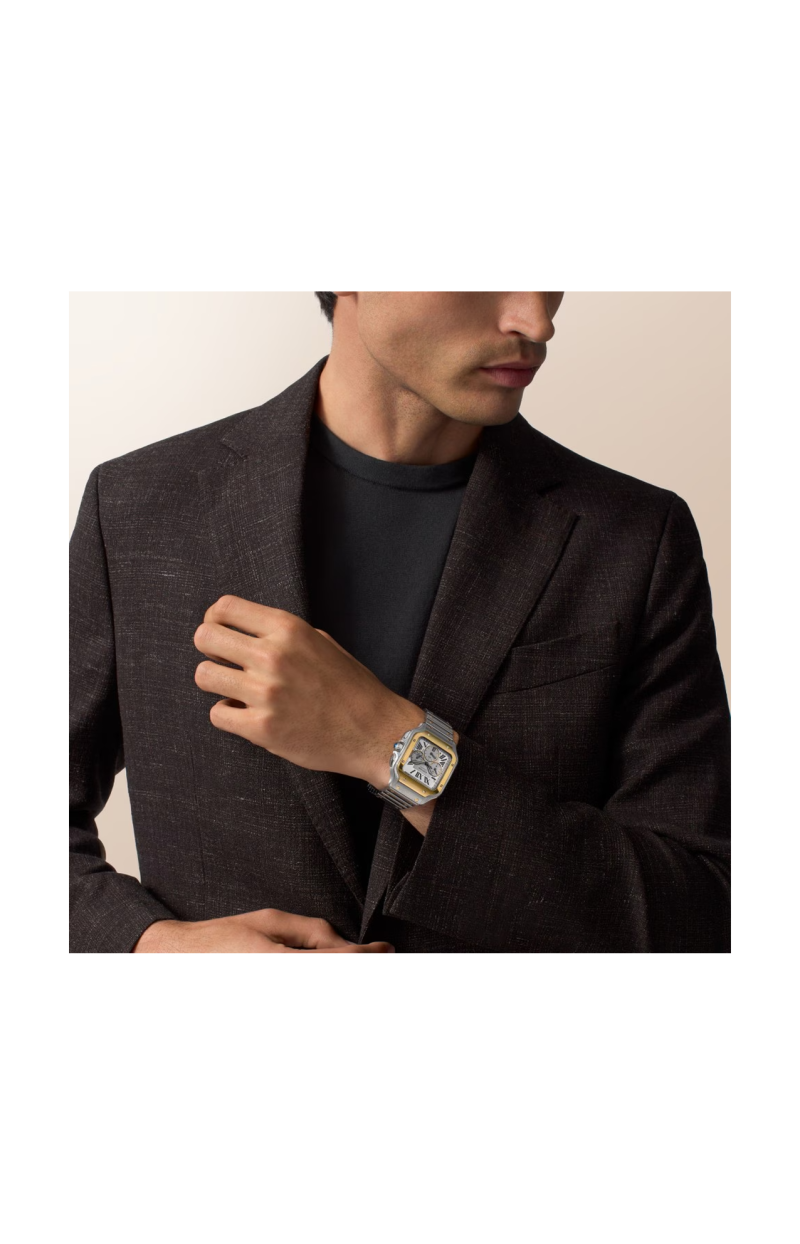 Cartier | SANTOS DE CARTIER MODELLO GRANDE, ACCIAIO, ORO GIALLO, AUTOMATICO - W2SA0035 (6)