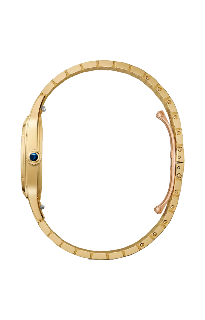 Cartier | SANTOS-DUMONT MODELLO GRANDE, ORO GIALLO, MANUALE - WGSA0122 (3)