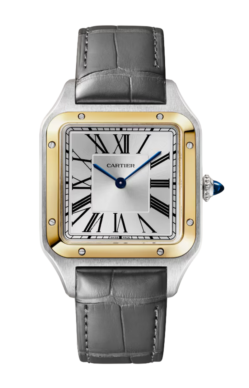 Cartier | SANTOS-DUMONT MODELLO GRANDE, ORO GIALLO, ACCIAIO, QUARZO - W2SA0046 (1)