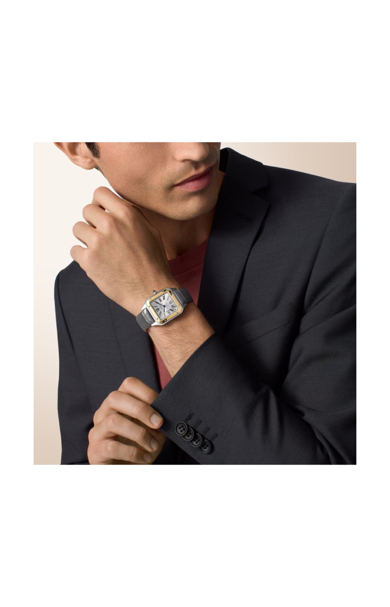 Cartier | SANTOS-DUMONT MODELLO GRANDE, ORO GIALLO, ACCIAIO, QUARZO - W2SA0046 (7)