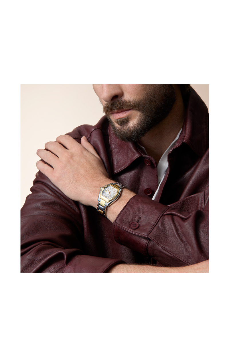 Cartier | ROADSTER MODELLO MEDIO, ORO GIALLO, ACCIAIO, AUTOMATICO - W2RD0009 (8)
