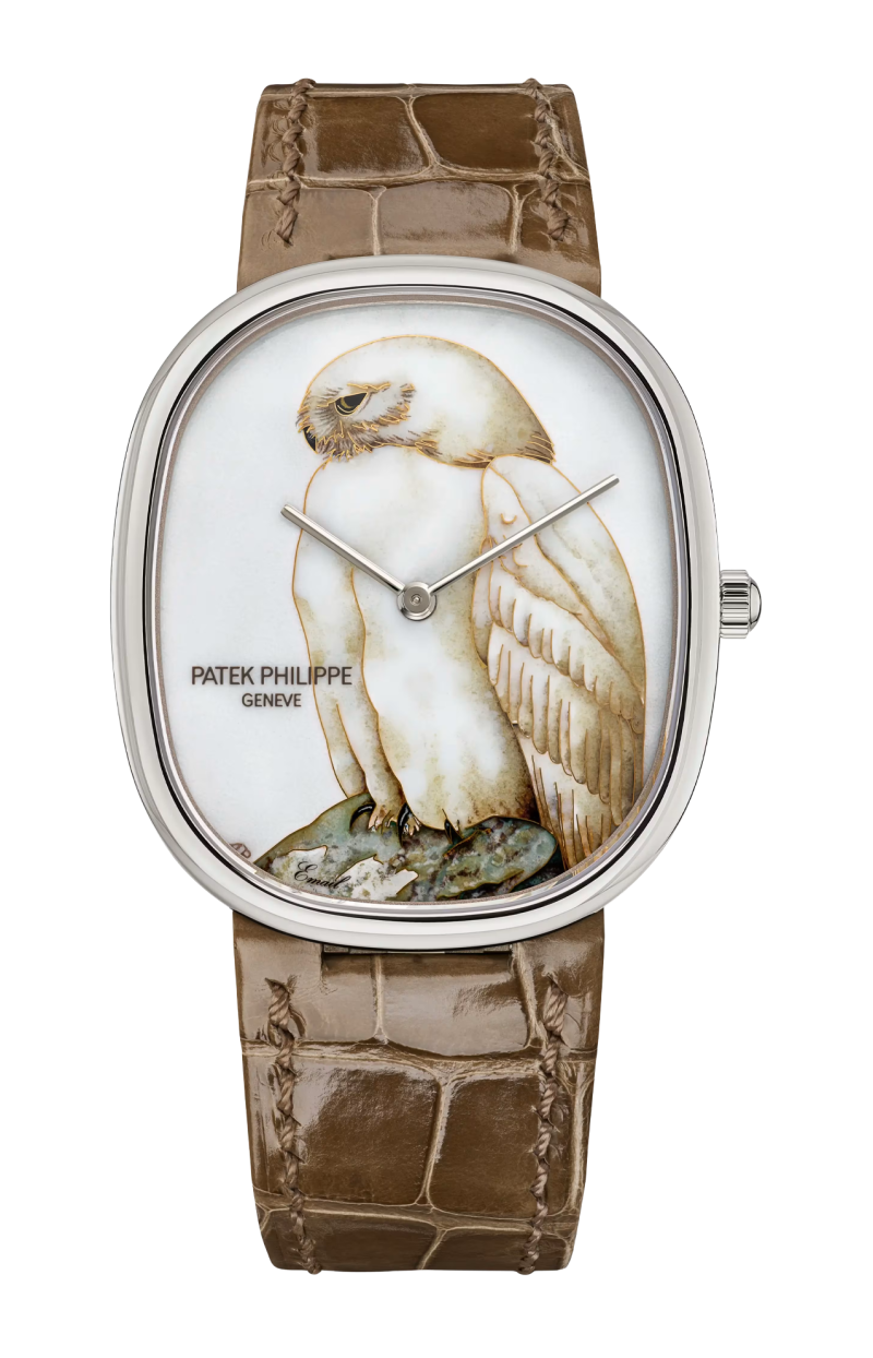 Patek Philippe | RARE HANDCRAFTS GUFO BIANCO, AUTOMATICO - LIMITED EDITION - 5738/50G-048 (1)