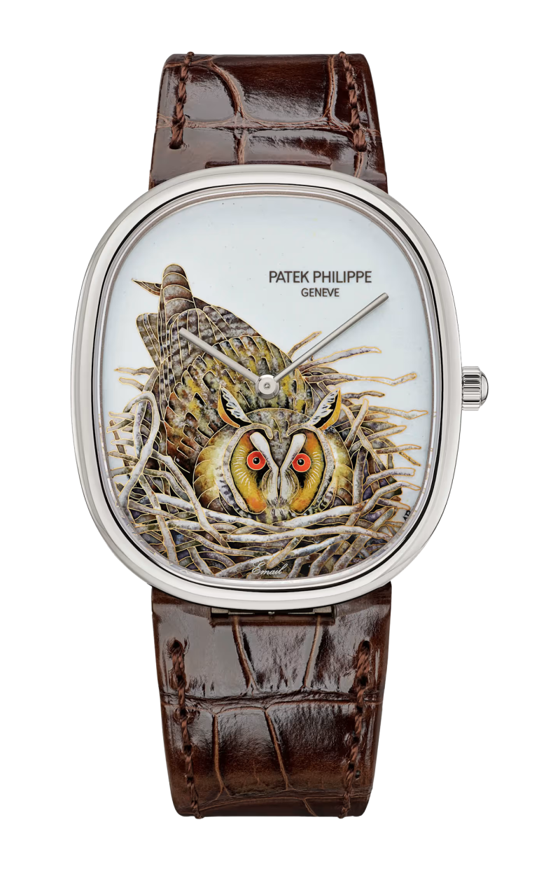 Patek Philippe | RARE HANDCRAFTS GUFO BRUNO, AUTOMATICO - LIMITED EDITION - 5738/50G-049 (1)