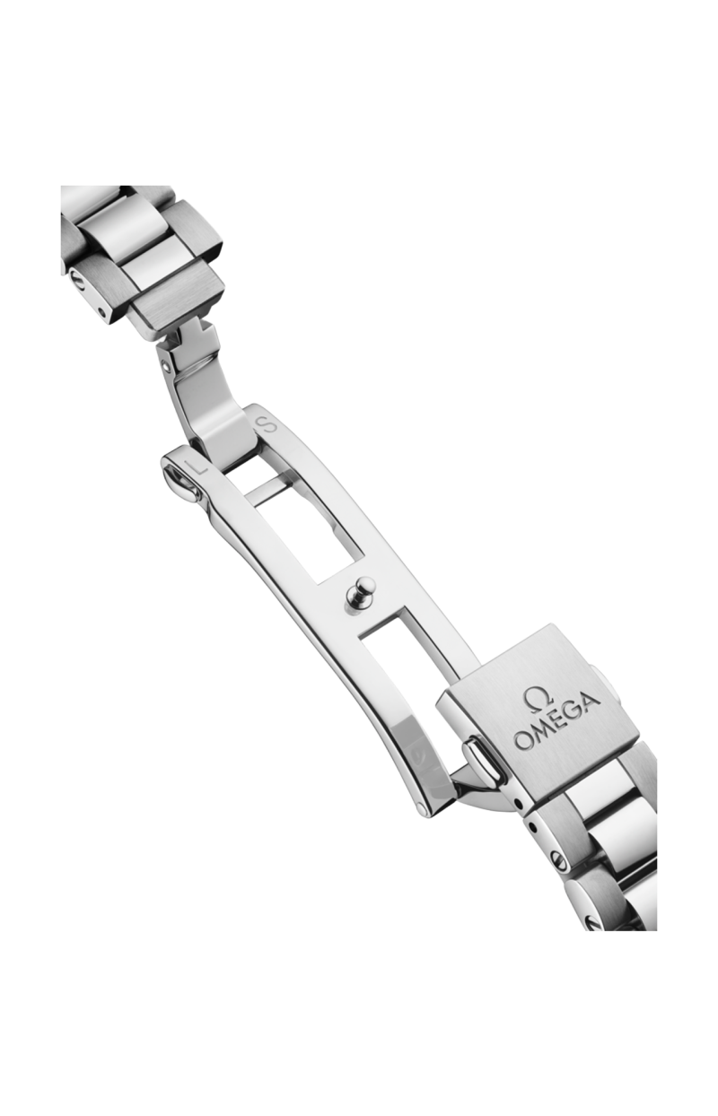 Omega | SEAMASTER AQUA TERRA 150M 41 MM, ACCIAIO SU ACCIAIO - 220.10.41.21.03.007 (5)